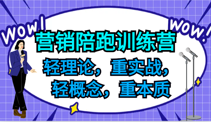 营销陪跑训练营，轻理论，重实战，轻概念，重本质，适合中小企业和初创企业的老板-网亿资源平台