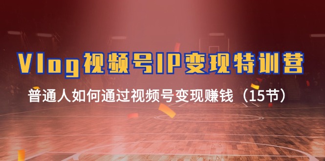 Vlog视频号IP变现特训营，普通人如何通过视频号变现赚钱（15节）-网亿资源平台