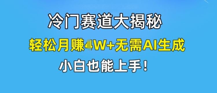 冷门赛道大揭秘，轻松月赚1W+无需AI生成，小白也能上手【揭秘】-网亿资源平台
