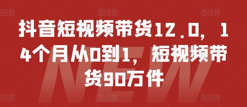 抖音短视频带货12.0，14个月从0到1，短视频带货90万件-邪修侠 - 演示
