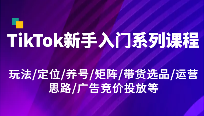 TikTok新手入门系列课程，玩法/定位/养号/矩阵/带货选品/运营思路/广告竞价投放等-网亿资源平台