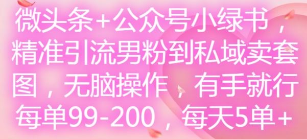 微头条+公众号小绿书，精准引流男粉到私域卖套图，无脑操作，有手就行，每单99-200，每天5单-网亿资源平台