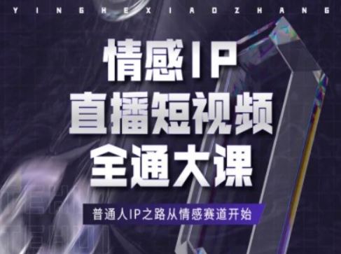 情感IP直播短视频全通大课，普通人IP之路从情感赛道开始-网亿资源平台