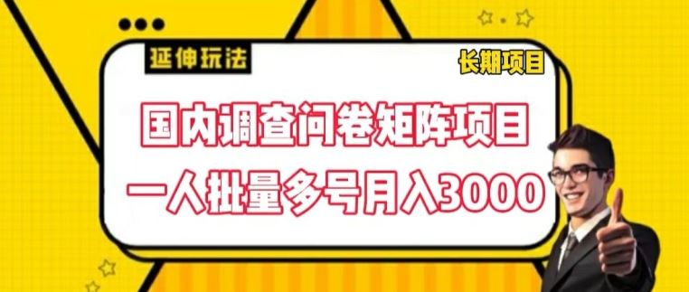 国内调查问卷矩阵项目，一人批量多号月入3000【揭秘】-网亿资源平台