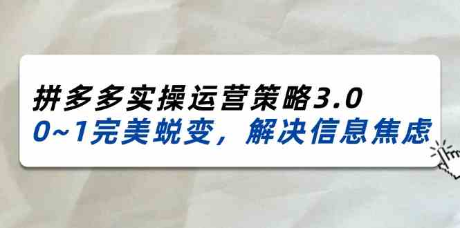 2024-2025拼多多实操运营策略3.0，0~1完美蜕变，解决信息焦虑（38节）-网亿资源平台