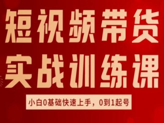 短视频带货实战训练课，好物分享实操，小白0基础快速上手，0到1起号-邪修侠 - 演示