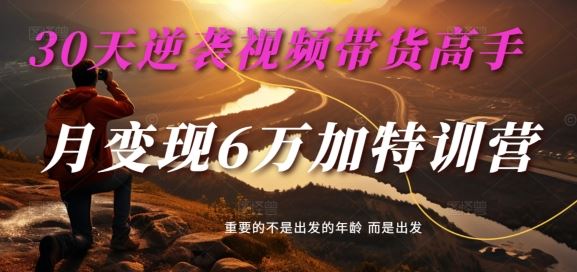 30天逆袭视频带货高手，单月变现6万加特训营-麦子甜-邪修侠 - 演示