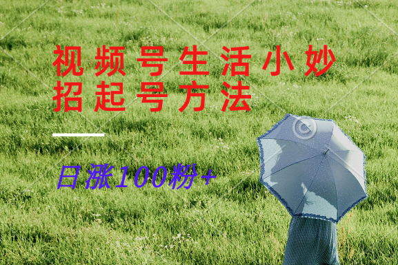 视频号生活小妙招分享赛道， 起号涨粉新方法，日涨100粉-网亿资源平台