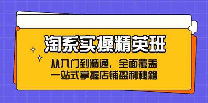 淘系实操精英班：从入门到精通，全面覆盖，一站式掌握店铺盈利秘籍-网亿资源平台
