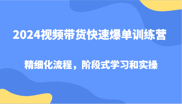 2024视频带货快速爆单训练营，精细化流程，阶段式学习和实操-邪修侠 - 演示