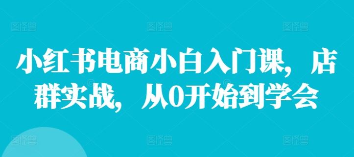 小红书电商小白入门课，店群实战，从0开始到学会-网亿资源平台