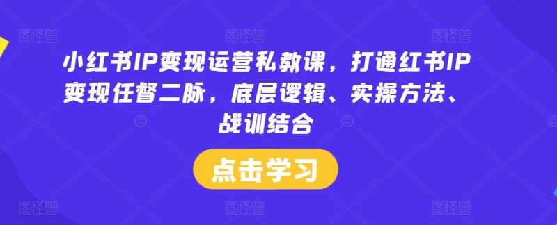 小红书IP变现运营私教课，打通红书IP变现任督二脉，底层逻辑、实操方法、战训结合-网亿资源平台