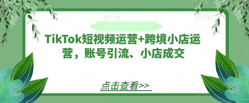 TikTok短视频运营+跨境小店运营，账号引流、小店成交-网亿资源平台