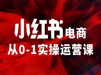 小红书电商从0-1实操运营课，让你从小白到精英-网亿资源平台