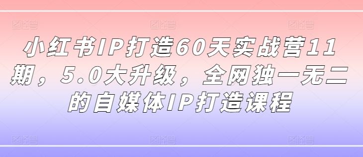 小红书IP打造60天实战营11期，5.0大升级，全网独一无二的自媒体IP打造课程-网亿资源平台