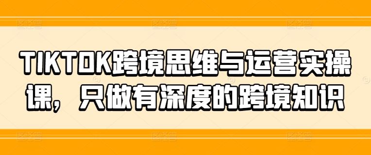TIKTOK跨境思维与运营实操课，只做有深度的跨境知识-网亿资源平台