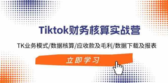 Tiktok财务核算实战营：TK业务模式/数据核算/应收款及毛利/数据下载及报表-网亿资源平台