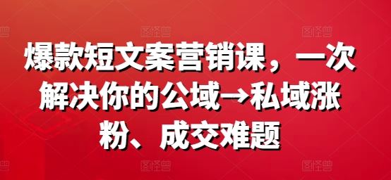 爆款短文案营销课，一次解决你的公域→私域涨粉、成交难题-网亿资源平台