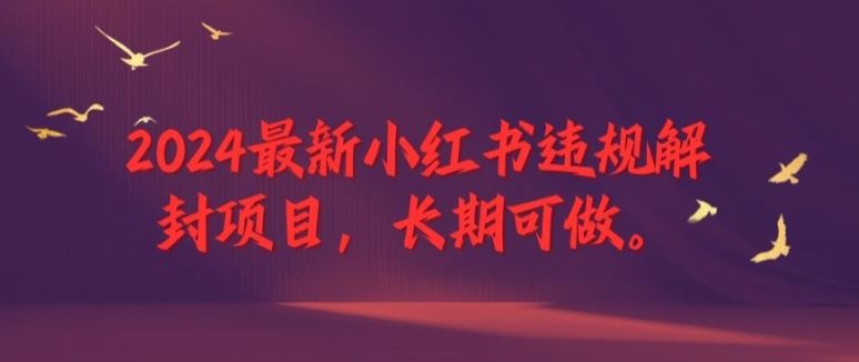 2024最新小红书违规解封项目，长期可做，一个可以做到退休的项目【揭秘】-网亿资源平台