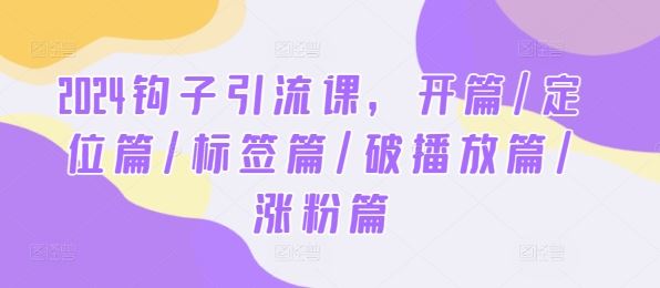 2024钩子引流课，开篇/定位篇/标签篇/破播放篇/涨粉篇-网亿资源平台