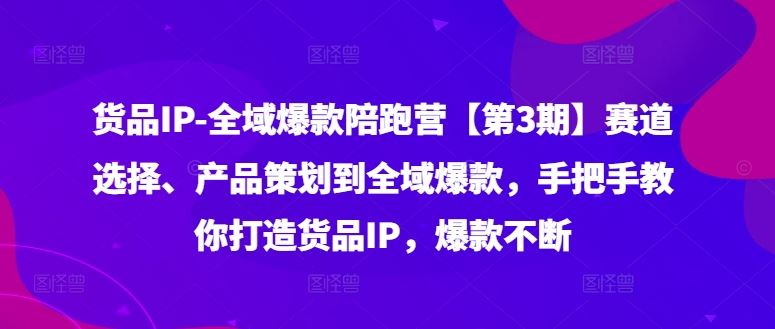 货品IP全域爆款陪跑营【第3期】赛道选择、产品策划到全域爆款，手把手教你打造货品IP，爆款不断-网亿资源平台