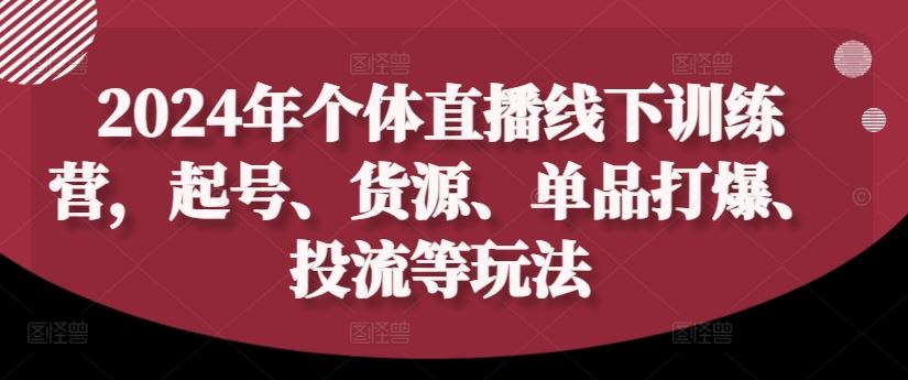 2024年个体直播训练营，起号、货源、单品打爆、投流等玩法-网亿资源平台