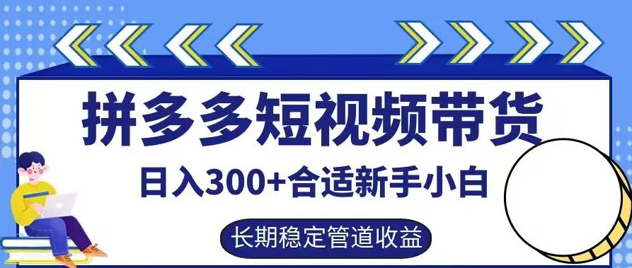 拼多多短视频带货日入300+有长期稳定被动收益，合适新手小白【揭秘】-网亿资源平台