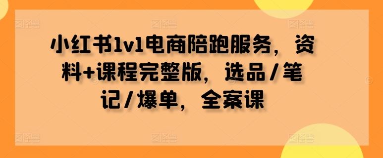 小红书1v1电商陪跑服务，资料+课程完整版，选品/笔记/爆单，全案课-网亿资源平台