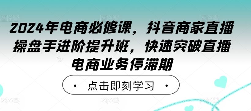 2024年电商必修课，抖音商家直播操盘手进阶提升班，快速突破直播电商业务停滞期-网亿资源平台