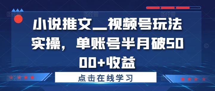 小说推文—视频号玩法实操，单账号半月破5000+收益-网亿资源平台