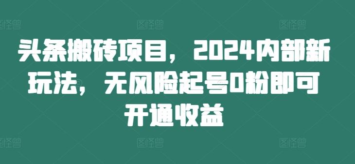 头条搬砖项目,2024内部新玩法,无风险起号0粉即可开通收益-邪修侠 - 演示