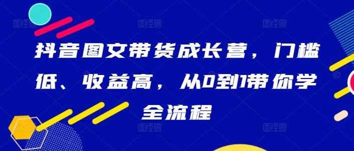 抖音图文带货成长营，门槛低、收益高，从0到1带你学全流程-邪修侠 - 演示
