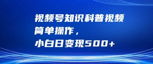 视频号知识科普视频，简单操作，小白日变现500+【揭秘】-网亿资源平台