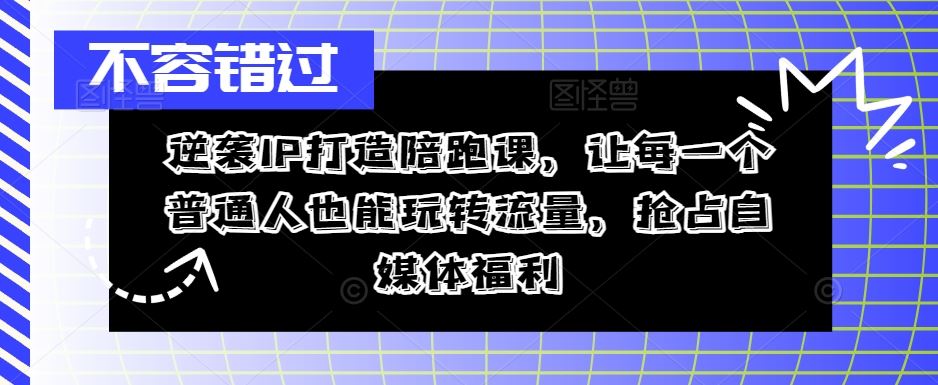 逆袭IP打造陪跑课，让每一个普通人也能玩转流量，抢占自媒体福利-网亿资源平台