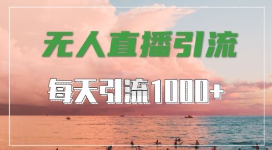 抖音快手视频号全平台通用，无人直播引流法，超暴力引流1000+高质量精准创业粉【揭秘】-网亿资源平台