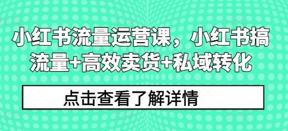 小红书流量运营课，小红书搞流量+高效卖货+私域转化-网亿资源平台
