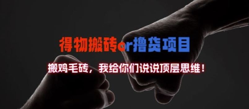 得物搬砖撸货项目?掰下数据,我给你们说说顶层思维【揭秘】-邪修侠 - 演示