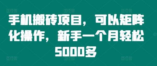 手机搬砖项目，可以矩阵化操作，新手一个月轻松5000多-邪修侠 - 演示