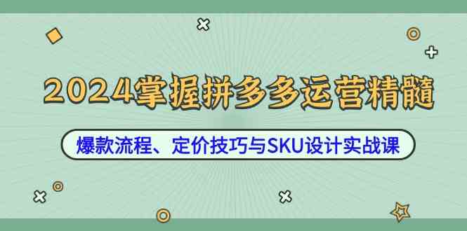 2024掌握拼多多运营精髓：爆款流程、定价技巧与SKU设计实战课-网亿资源平台