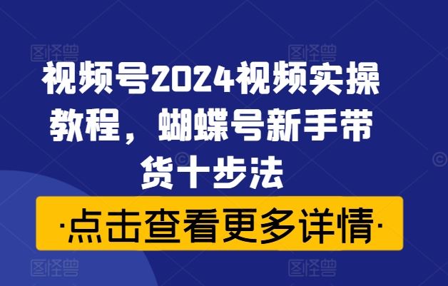 视频号2024视频实操教程,蝴蝶号新手带货十步法-邪修侠 - 演示