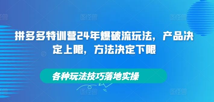 拼多多特训营24年爆破流玩法，产品决定上限，方法决定下限，各种玩法技巧落地实操-网亿资源平台