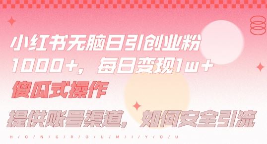小红书无脑每日引流创业粉500+，小白每天只花半小时，躺赚长尾收益【揭秘】-网亿资源平台