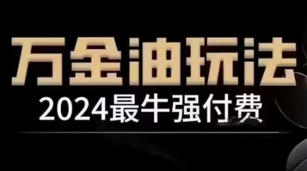 2024最牛强付费，万金油强付费玩法，干货满满，全程实操起飞-网亿资源平台