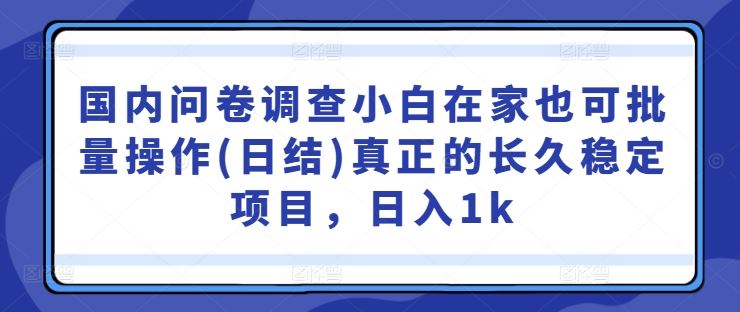 国内问卷调查小白在家也可批量操作(日结)真正的长久稳定项目，日入1k【揭秘】-网亿资源平台