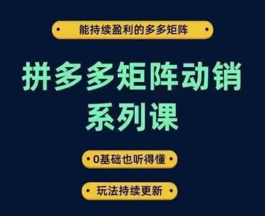 拼多多矩阵动销系列课，能持续盈利的多多矩阵，0基础也听得懂，玩法持续更新-网亿资源平台