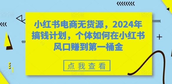 小红书电商无货源，2024年搞钱计划，个体如何在小红书风口赚到第一桶金-网亿资源平台