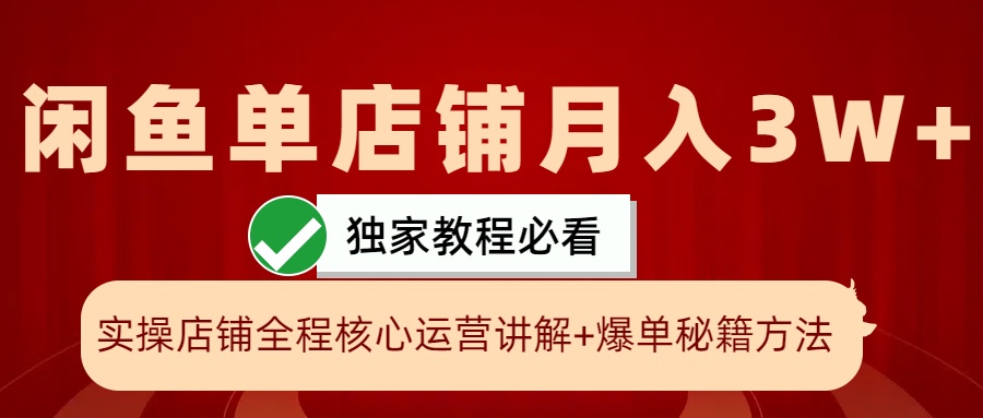 闲鱼单店铺月入3W+实操展示，爆单核心秘籍，一学就会-邪修侠 - 演示
