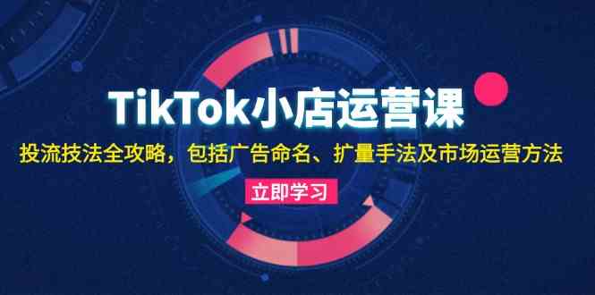 TikTok小店运营课：投流技法全攻略，包括广告命名 扩量手法及市场运营方法-网亿资源平台
