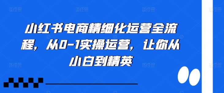 小红书电商精细化运营全流程，从0-1实操运营，让你从小白到精英-网亿资源平台
