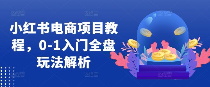 小红书电商项目教程，0-1入门全盘玩法解析-网亿资源平台